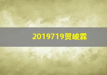 2019719贺峻霖