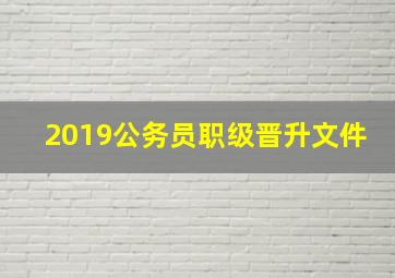 2019公务员职级晋升文件