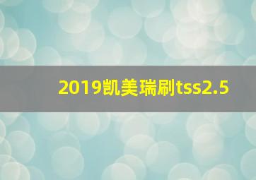 2019凯美瑞刷tss2.5