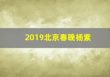 2019北京春晚杨紫