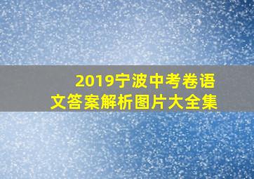 2019宁波中考卷语文答案解析图片大全集