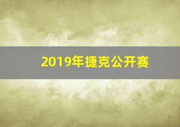 2019年捷克公开赛