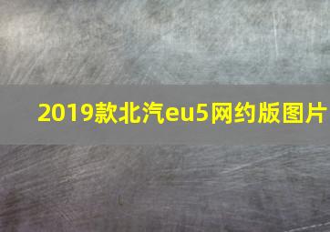 2019款北汽eu5网约版图片