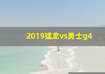 2019猛龙vs勇士g4