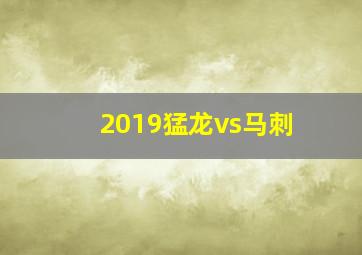 2019猛龙vs马刺