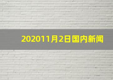 202011月2日国内新闻