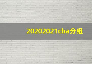 20202021cba分组