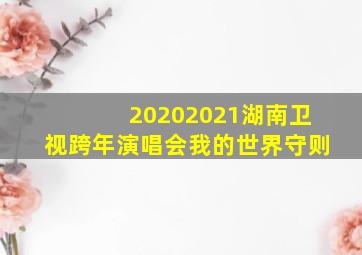 20202021湖南卫视跨年演唱会我的世界守则