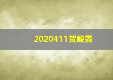 2020411贺峻霖