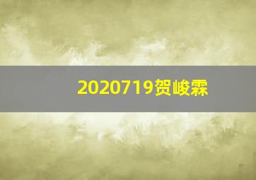 2020719贺峻霖