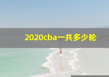 2020cba一共多少轮