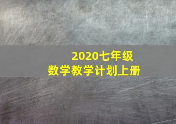 2020七年级数学教学计划上册