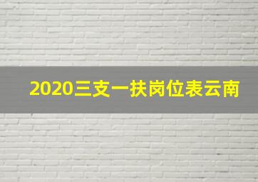 2020三支一扶岗位表云南