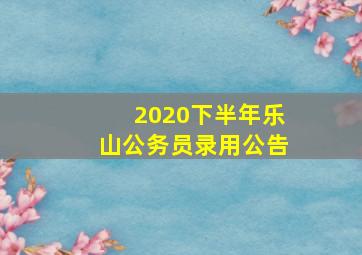 2020下半年乐山公务员录用公告