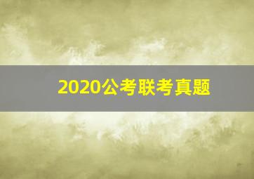 2020公考联考真题