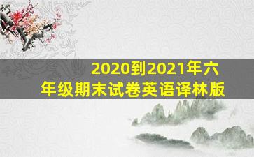 2020到2021年六年级期末试卷英语译林版