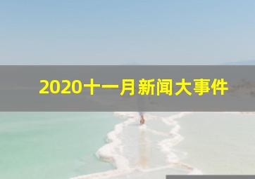 2020十一月新闻大事件