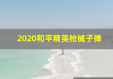 2020和平精英枪械子弹