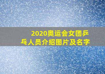 2020奥运会女团乒乓人员介绍图片及名字