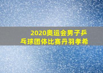 2020奥运会男子乒乓球团体比赛丹羽孝希