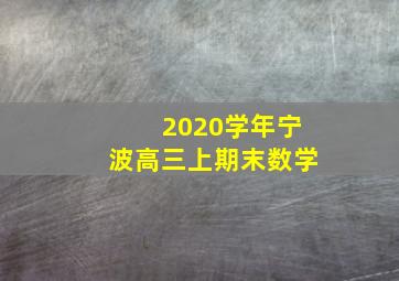 2020学年宁波高三上期末数学