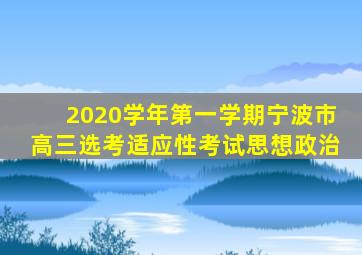 2020学年第一学期宁波市高三选考适应性考试思想政治