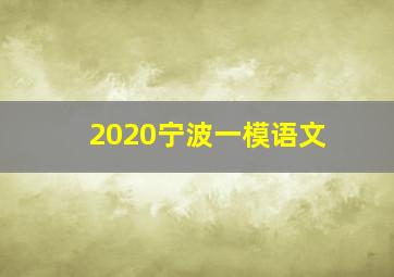 2020宁波一模语文