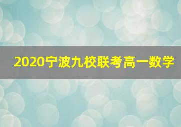 2020宁波九校联考高一数学