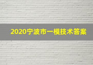 2020宁波市一模技术答案