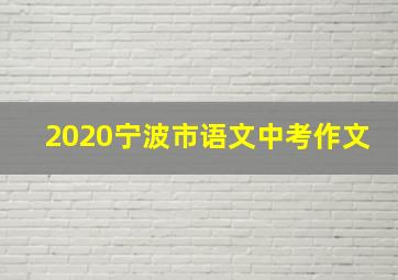 2020宁波市语文中考作文