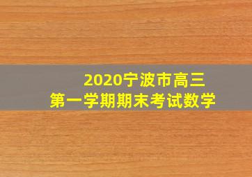 2020宁波市高三第一学期期末考试数学