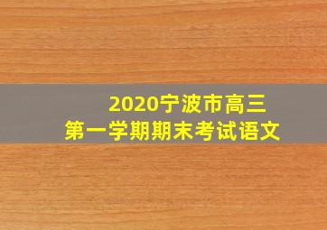 2020宁波市高三第一学期期末考试语文