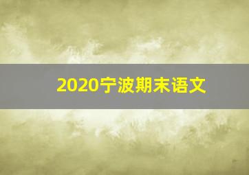 2020宁波期末语文