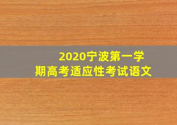 2020宁波第一学期高考适应性考试语文