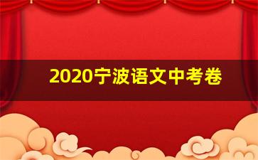 2020宁波语文中考卷