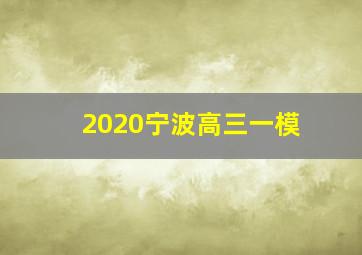 2020宁波高三一模