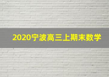 2020宁波高三上期末数学