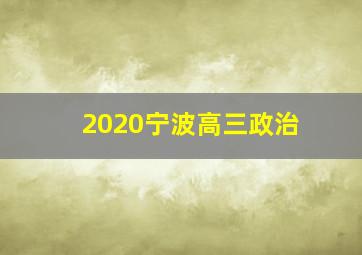 2020宁波高三政治