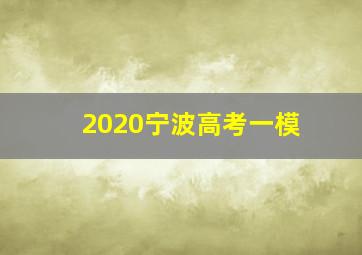 2020宁波高考一模