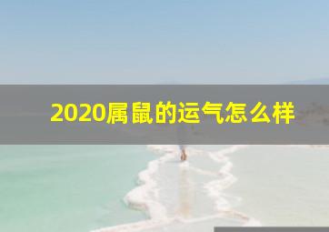 2020属鼠的运气怎么样