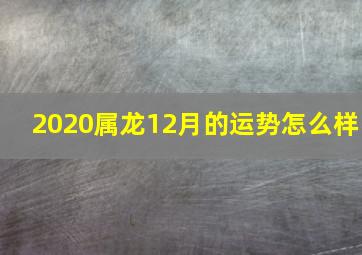 2020属龙12月的运势怎么样