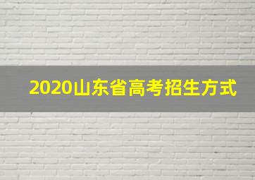 2020山东省高考招生方式