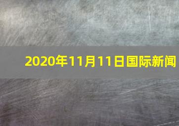 2020年11月11日国际新闻