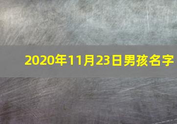 2020年11月23日男孩名字