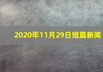 2020年11月29日短篇新闻