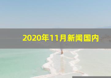 2020年11月新闻国内