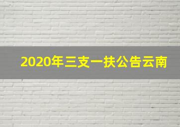 2020年三支一扶公告云南