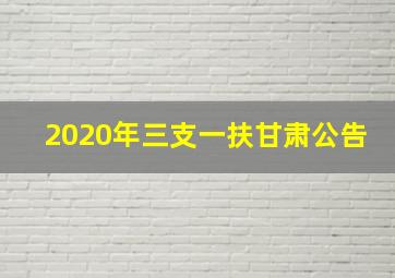 2020年三支一扶甘肃公告