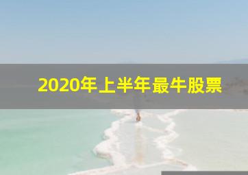 2020年上半年最牛股票