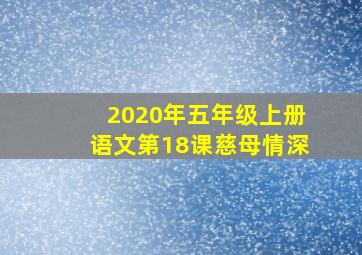 2020年五年级上册语文第18课慈母情深